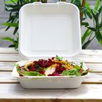 9.25 x 9 inch bagasse meal box holding hot, wet, or oily foods without leaking, ideal for eco-conscious takeaways.