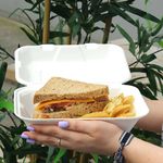 9x6 inch bagasse meal box holding hot, wet, or oily foods without leaking, perfect for sustainable takeaways.