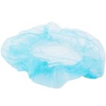 200021_Blue_hairnet_DTR.IE.jpeg