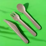Compostable cutlery in use at an outdoor festival, promoting eco-conscious event planning