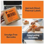 Zebra Orange Shipping D/T Labels 102x152mm | Courier Shipping Labels | 280 LPR (Box of 12)