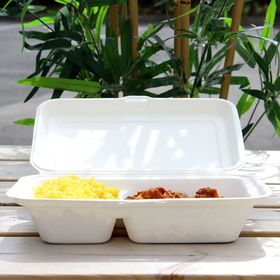 9x6 inch 2-compartment bagasse meal box holding hot, wet, or oily foods without leaking, perfect for eco-conscious takeaways