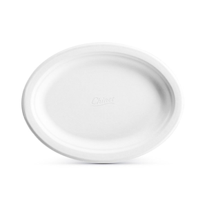 Bagasse Compostable Plate