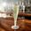 Clear polystyrene champagne flute, 10cl capacity, durable and elegant disposable drinkware.