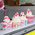 8oz Chill Ice Cream Cup 20X50  (1000 Cups)