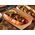Kraft_food_tray_with_a_ hot_dogs.jpeg