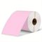 Pink_shipping_D/T_Labels_102x152mm_280 _lpr.png